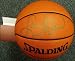 Larry Bird Signed in Gold Spalding Basketball UDA
