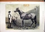 馬の主を握っている Clifden Stable 色刷 1874 の人