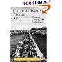 CRITICAL ISSUES PUBLIC ART  PB