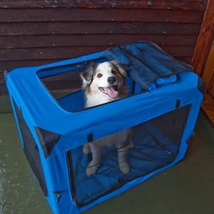 Click to buy Small Dog Carriers:  Pet Gear Generation II Deluxe Portable Soft Crate from Amazon!