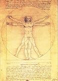 Proportions of the Human Figure by Leonardo Da Vinci. Art Print Poster 19.75 inches width by 27.5 inches height. Highest Quality Art Poster Print