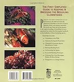 Clownfishes: A Guide to Their Captive Care, Breeding & Natural History Clownfishes: A Guide to Their Captive Care, Breeding & Natural History