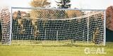 Goal Sporting Goods SWC824 World Cup Soccer Goal (call 1-800-234-2775 to order)