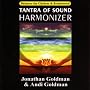 Tantra Of Sound Harmonizer <a href="http://www.amazon.co.uk/Tantra-Of-Sound-Harmonizer/dp/artist-redirect/B001L89GQY">Jonathan Goldman & Andi Goldman</a><span class="byLinePipe"> | </span><span class="byLinePipe">Format:</span> MP3 Download