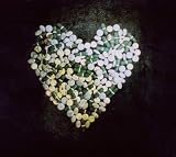 Alkaline Trio - This Addiction: +DVD