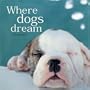 Where Dogs Dream (Gift Book)