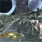 Click here to buy Green Cosmos by  Deerhoof .