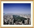 Central Park, New York City Photograph - Beautiful approx. 25"x29" Framed & Matted - 1 1/2" Antique Style Gold Frame - Photographic Print by Carol M. Highsmith