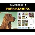 IRISH SETTER DOGS Kalender 2012 + Kostenlose Schl�sselring