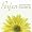 www.wildrosen.com - Perfect Summer Wedding
