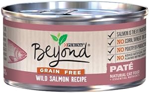Purina Beyond Grain Free Wild Salmon Recipe Natural Cat Food, 12/3oz cans