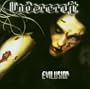 Evilusion