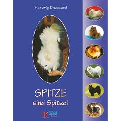 Spitze sind Spitze: Print on Demand- Ausgabe (DIN A 4- Format, weicher Einband, durchg. farbig) der Originalausgabe