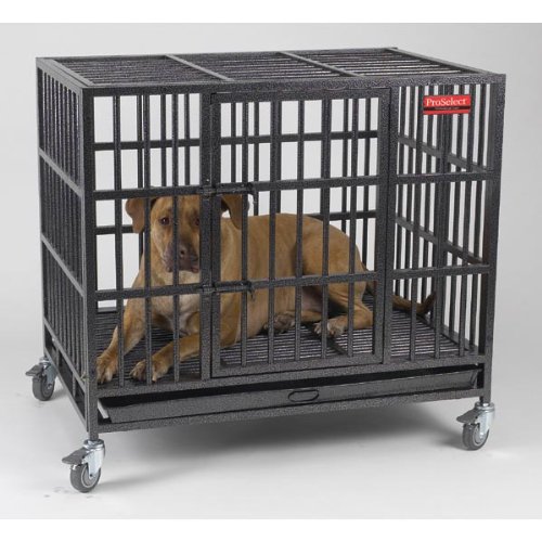 Heavy Duty Indestructible Steel Dog Crate Cage, 42 1/4" L X 30 3/4" W X 41 1/4" H Picture