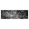 Trademark Global Roots by Eric Mull - 47x14x1.5