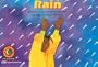 Rain (Learn to Read-Read to Learn: Fun and Fantasy)