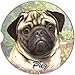 E&S Pets Pug Coaster, 3