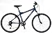 2007 Schwinn Mesa Hardtail Mountain Bike Small