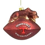 - Tennessee Glass Mascot Ftball - 6