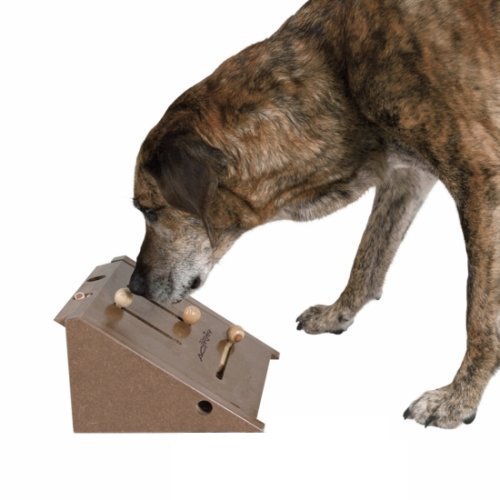 Dog Activity Kicker, 26 x 15 x 24 cm