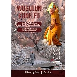 Master Wu Nanfang on Song Mountain