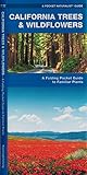 California Trees & Wildflowers: A Folding Pocket Guide to Familiar Plants (Pocket Naturalist Guide Series)
