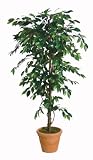 from JustArtificial Artificial Silk Fat Ficus Tree - 90cm, Two Tone Green