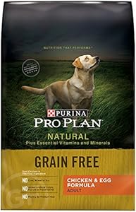 Purina Pro Plan Dry Dog Food Bag, 16-Pound, 1-Pack