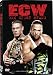 ECW: One Night Stand