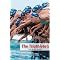 Become a Professional Triathlete