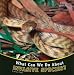 What Can We Do About Invasive Species? (Protecting Our Planet)