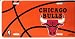 CHICAGO BULLS NBA LICENSE PLATE (TYPE 1)