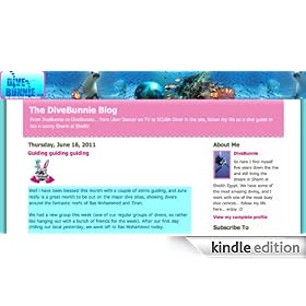 The DiveBunnie Blog