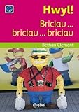 Hwyl! : briciau ... briciau ... briciau