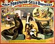 Circus Poster Forepaugh & Sells Shows Consolidated Photograph - Beautiful 16x20-inch Photographic Print from the Library of Congress Collection