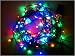LED Rainbow Twinkle Christmas Lights 33ft./10m, 100 Ct.