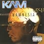Kamnesia