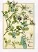ANNA MARTIN LONICERA 11.75X15.75 BOTANY GREEN BROWN ART PRINT ARCA110-6