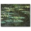 Water Lilies - Gift Enclosure Cards (set of 12)