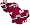 Montana Grizzlies
