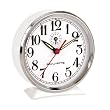 Chaney Instruments Analog Alarm Clock