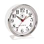 Chaney Instruments Analog Alarm Clock