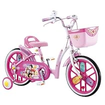 アイデス ディズニー プリンセス16シャイニー 16インチ 1269