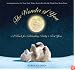 The Wonder of You: A Book for Celebrating Baby's First Year