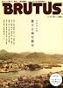 BRUTUS (ブルータス) 2008年 11/15号 [雑誌]