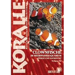 Clownfische im Meerwasseraquarium: Pflege und Nachzucht