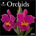 Orchids 2009 Calendar