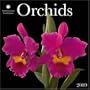 Orchids 2009 Calendar