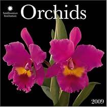 Orchids 2009 Calendar