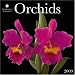 Orchids 2009 Calendar